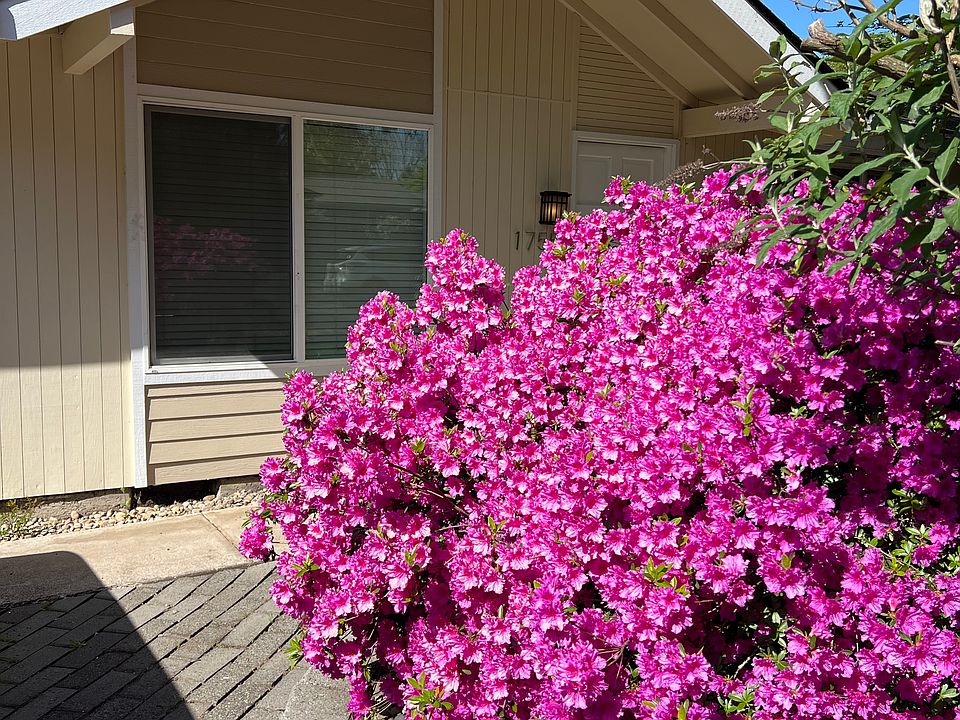 2nd image of 1755 Lemming Ave