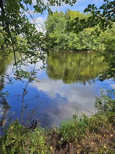 Dutch Rush Run #5, Crivitz, WI, 54114