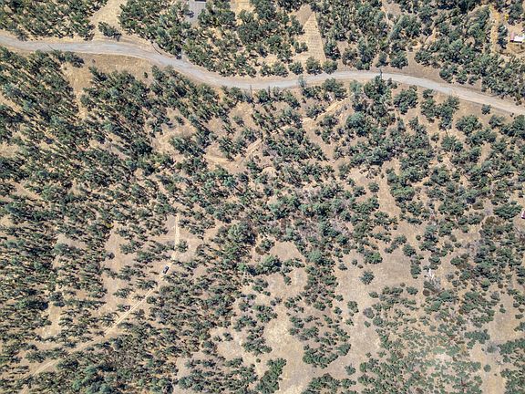 5th image of 17275 Quailridge Rd