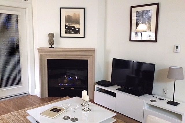 Living room features Hi Def TV and fireplace