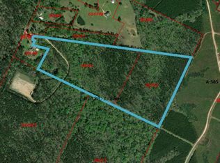 County Road 2934, Shelbyville, TX 75973