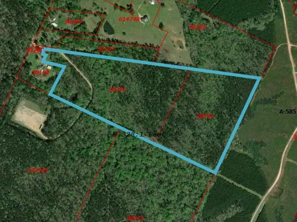 County Road 2934, Shelbyville, TX 75973