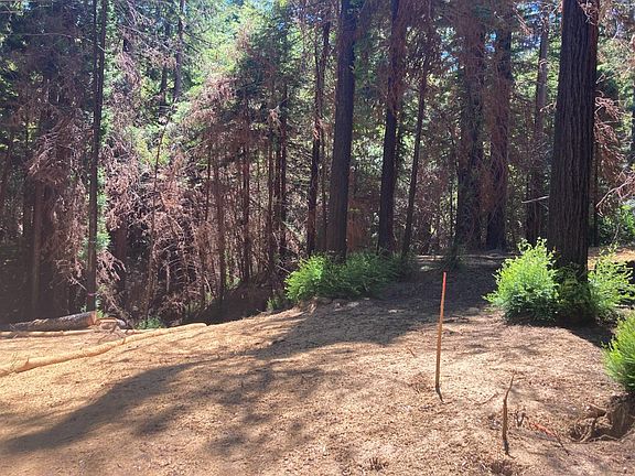 3rd image of 955 Creek Dr