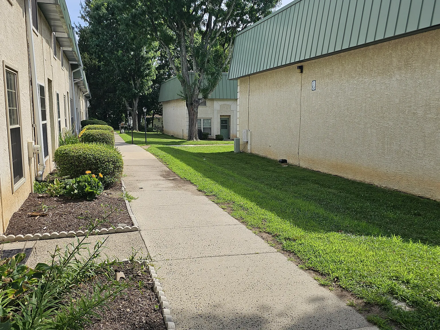 3 bed, 1169 sqft, $2,000 — Photo 4