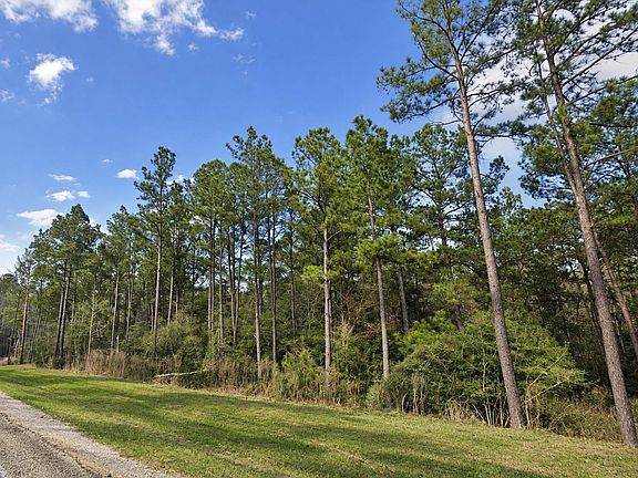 4th image of 15437 Woodlife Rd Lot 63