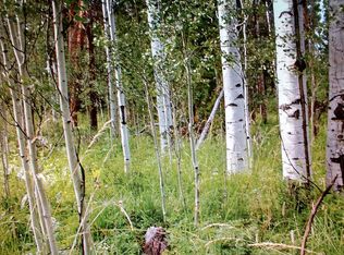 21215 Roan Way, Oak Creek, CO 80467