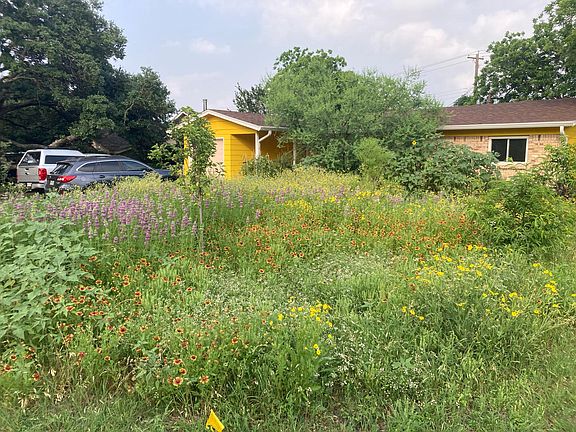 Wildflowers poppin' in the summertime!