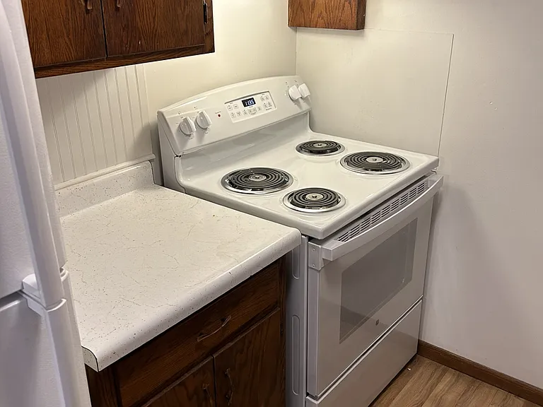 213 Newton Ave NE #308 — Photo 3