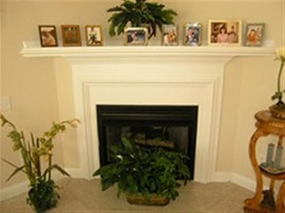 Gas Fireplace