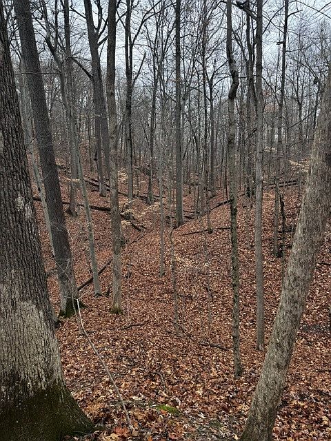 LOT 162 N Foxcliff Dr W, Martinsville, IN 46151 | Zillow