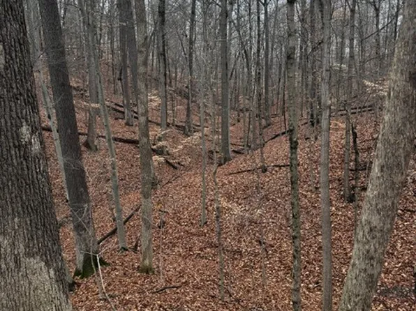 LOT 162 N Foxcliff Dr W, Martinsville, IN 46151