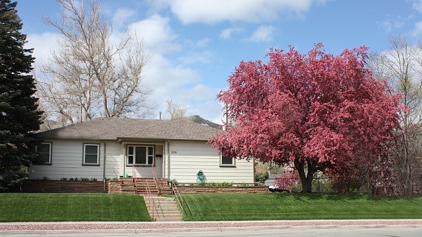 Spring Crabapple