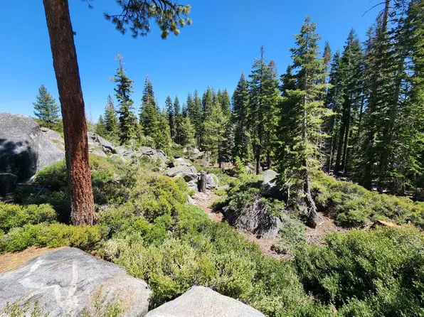 515 Aspen Ln, Arnold, CA 95223