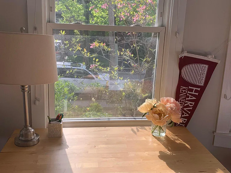 118 Trowbridge St #3 — Photo 8