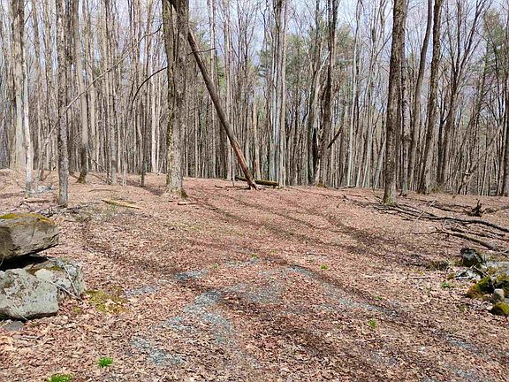 3rd image of Lot 1 Faraway (Jones) Road