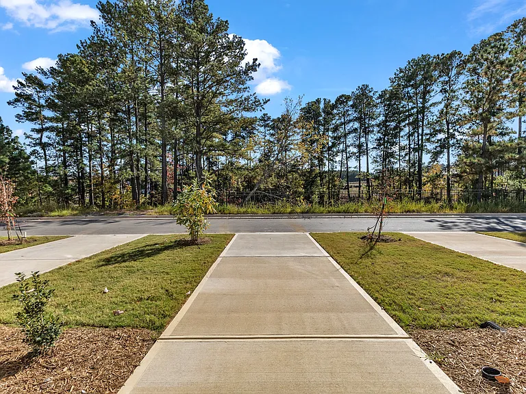 427 Carolina Springs Blvd — Photo 36
