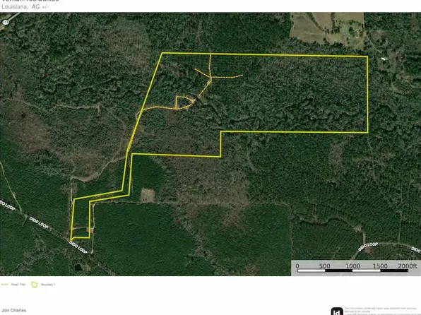 Dido Loop Lot Wp003, Pitkin, LA 70656