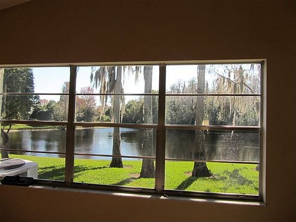 View from Living Room