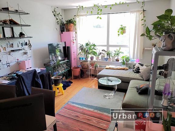 3rd image of 812 Myrtle Ave #2B