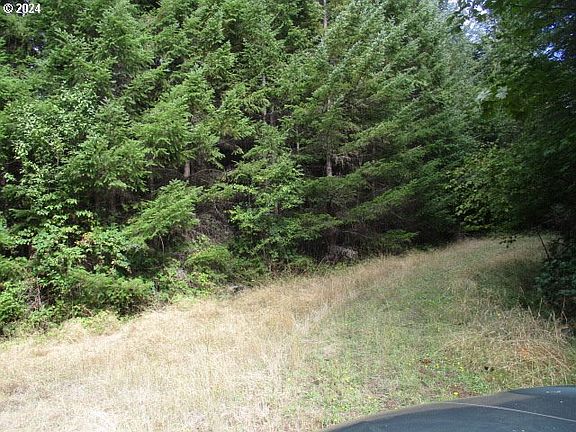 2nd image of 0 Bellinger Scale Rd