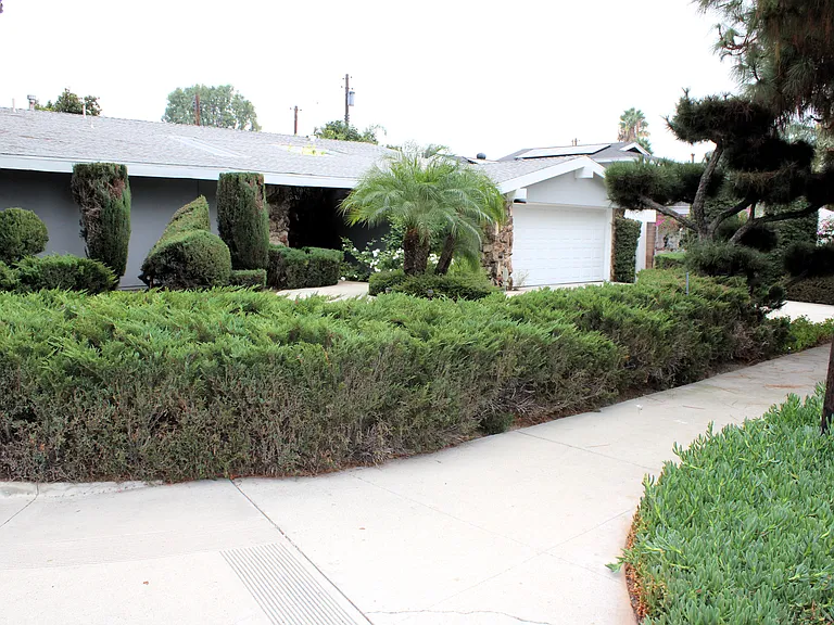 9642 Yolanda Ave — Photo 2