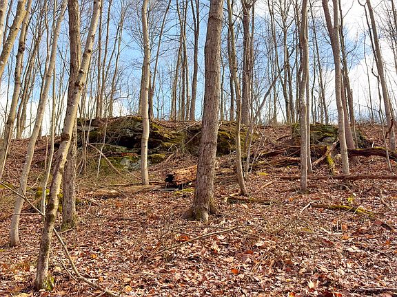 5th image of 0 Millers Run Back Run Rd