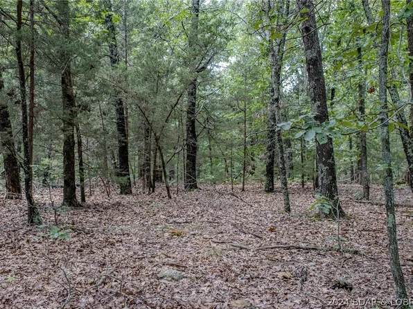 Sunflower Ln, Falcon, MO 65470