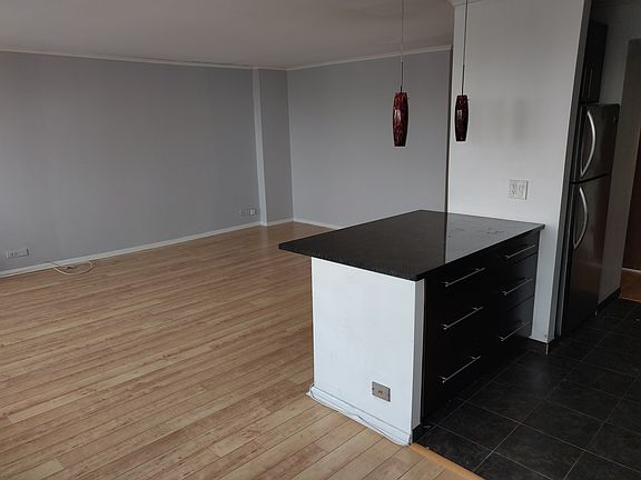 4th image of 1455 N Sandburg Ter APT 2906