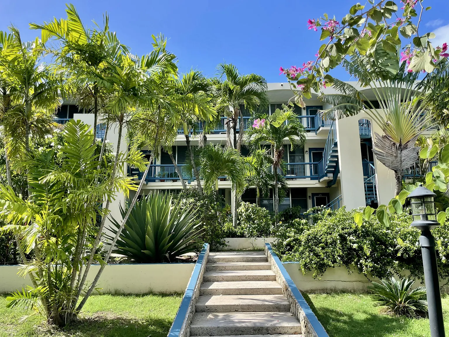 1 bed, $1,550 — Photo 1
