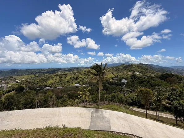 Loma Del Viento Bo Masas, Gurabo, PR 00778