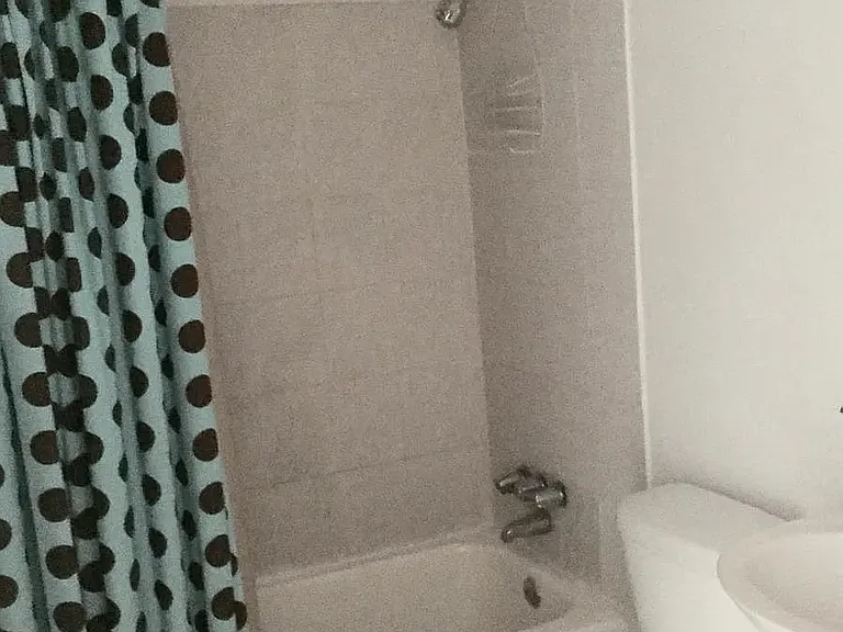 4013 Nashville Ave #1 — Photo 5