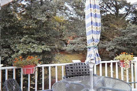 Deck in Springtime!
