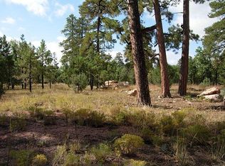 1561 Woodside Pl, Happy Jack, AZ 86024