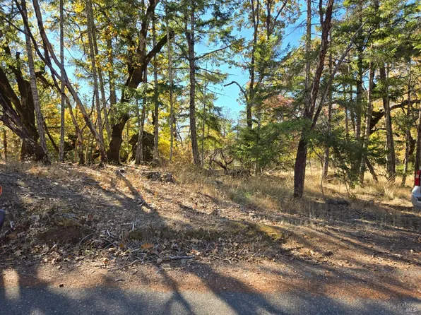 1591 Daphne Drive, Willits, CA 95490