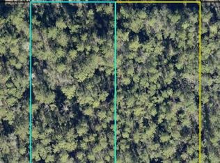 Tract 596 TIPPIN ST, HASTINGS, FL 32145
