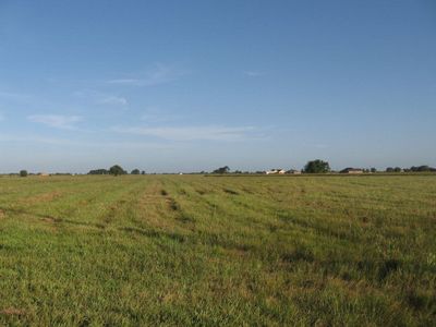 590 Longhorn Trl, Angleton, TX, 77515