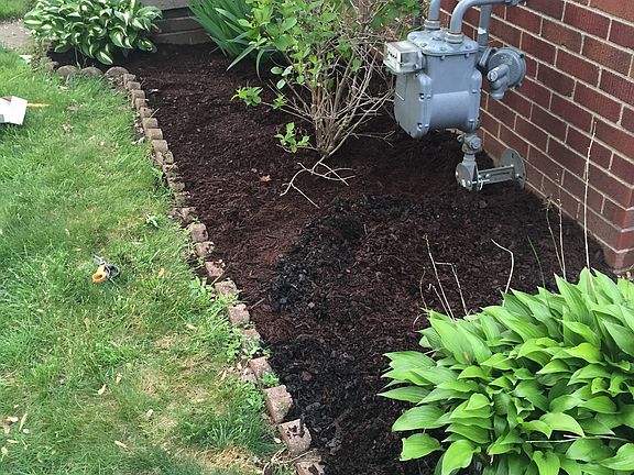 Front Landscaping