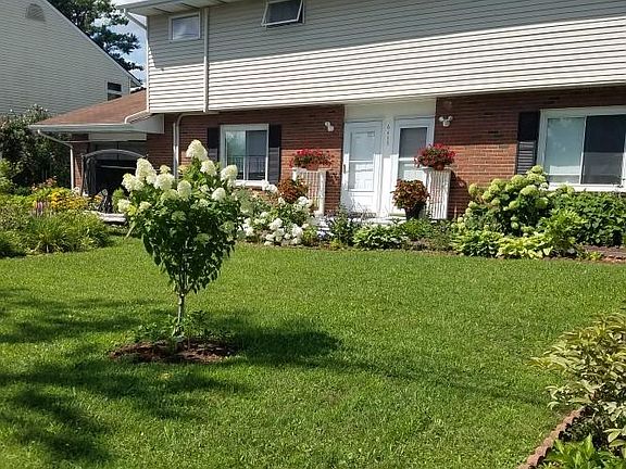 Front lawn close-up.