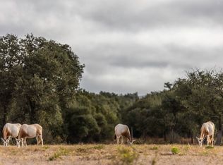 TBD Legacy Hills, Johnson City, TX 78636