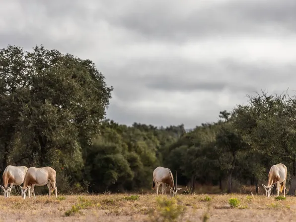 TBD Legacy Hills, Johnson City, TX 78636