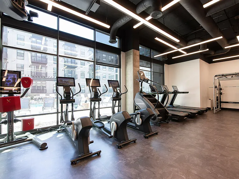 Elevate Your Workout Routine