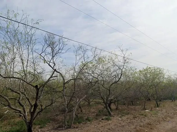 0 Los Ranchos Rd, San Benito, TX 78586