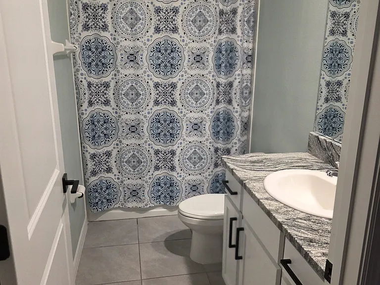 33809 Jasmine Star Loop — Photo 29