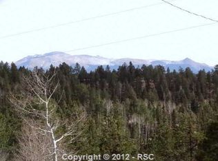 184 Poncha Creek Trl, Florissant, CO 80816