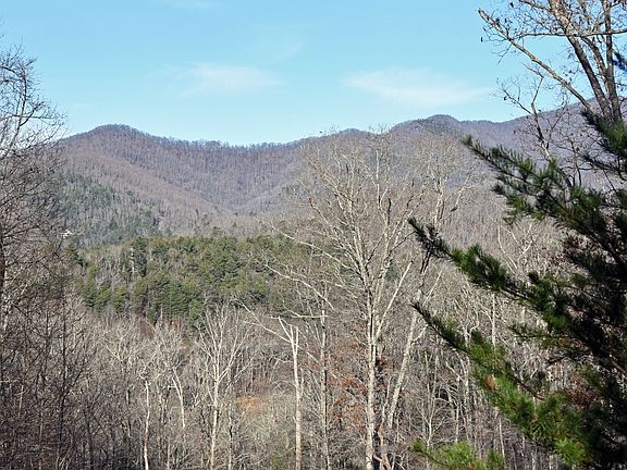 4th image of LOT 15 Wolfpen Gap Ct
