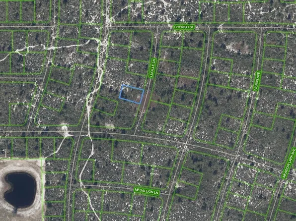 431 Lucille Ln, Lake Placid, FL 33852