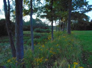 975 N Sanford Rd, Afton, NY 13730