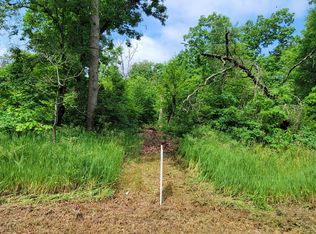 Cherry St, Baldwin, MI 49304