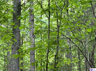 0 Elkhorn Rd, Knifley, KY 42753