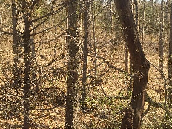 2nd image of 16 Lynn View Acres